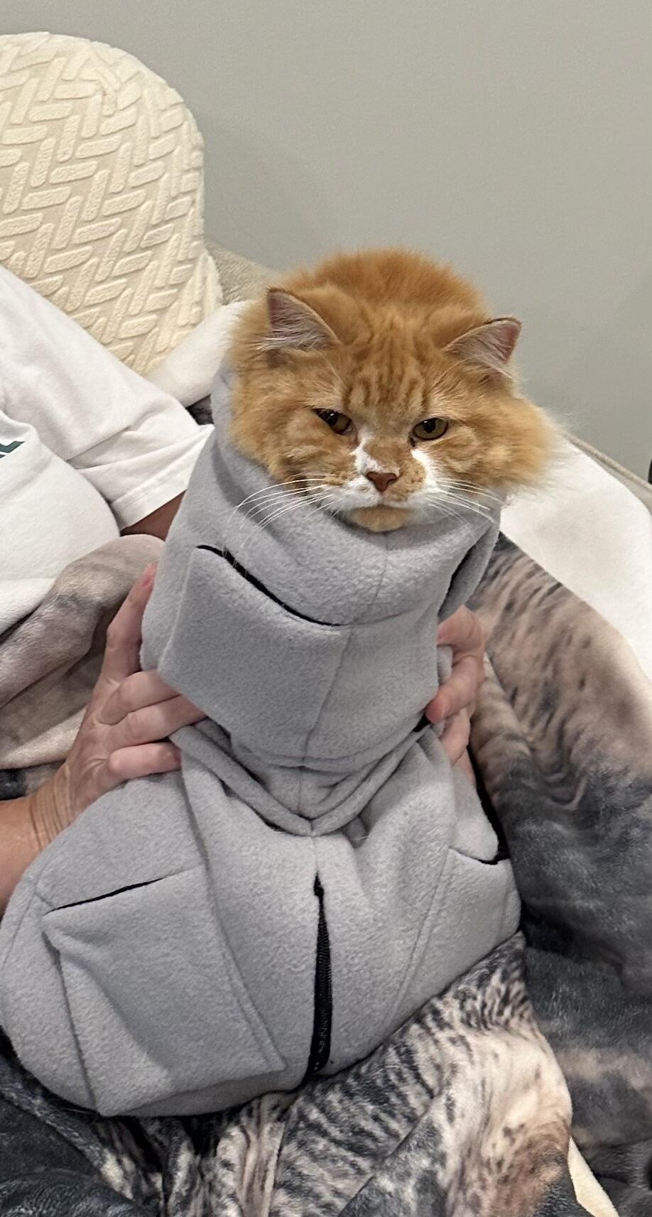 Calm & Cozy Cat Wrap Pro Medium