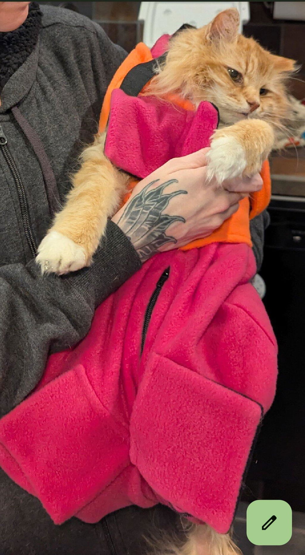 Calm & Cozy Cat Wrap Pro Large