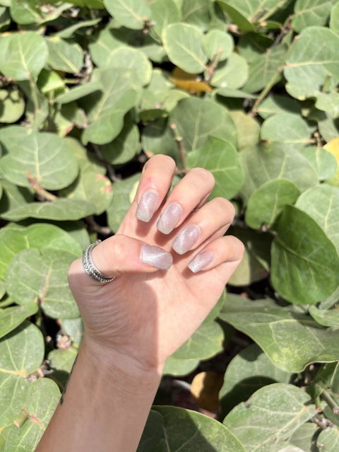 Champagne Bubbles UV Cat Eye Gel Polish