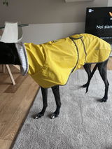 Chubasquero Impermeable Reflectante para Whippet y Galgo