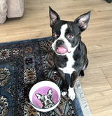 Pet Feeding Bowl