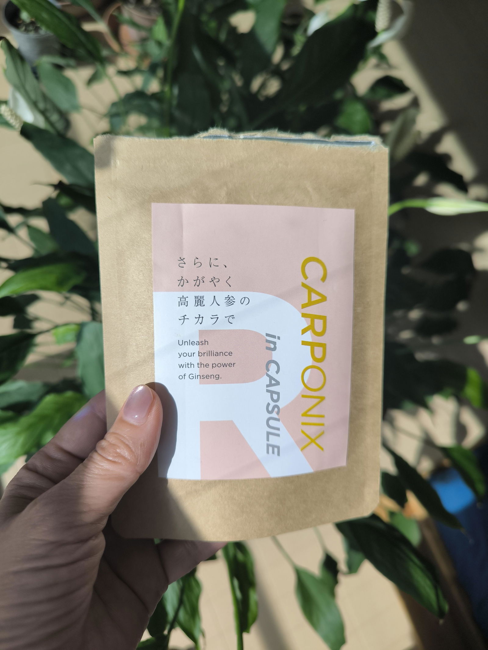 定期】CARPONIX R In CAPSULE 60粒 1パック – carponix