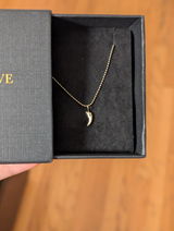 Puppy/Dog Tooth Necklace