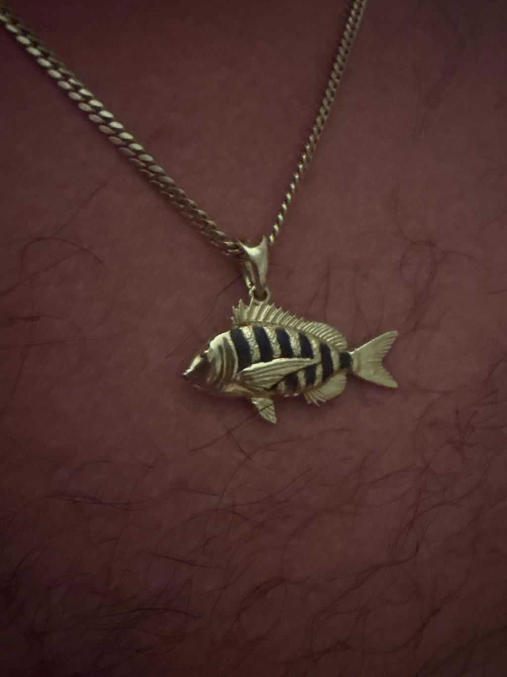 The Sheepshead