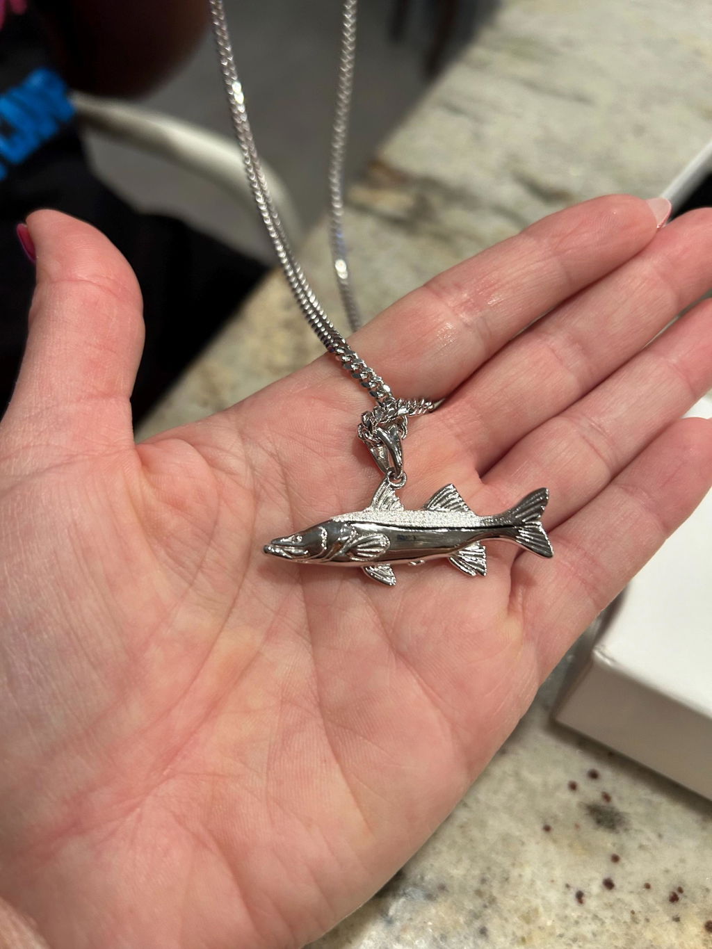 The Snook