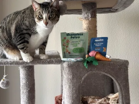 catbox
