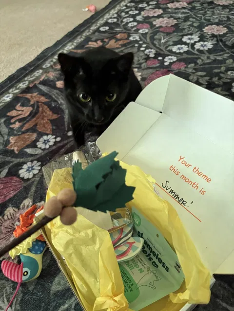 catbox