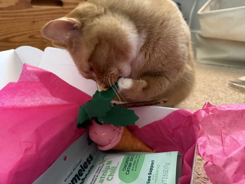 catbox