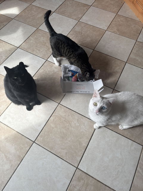 catbox