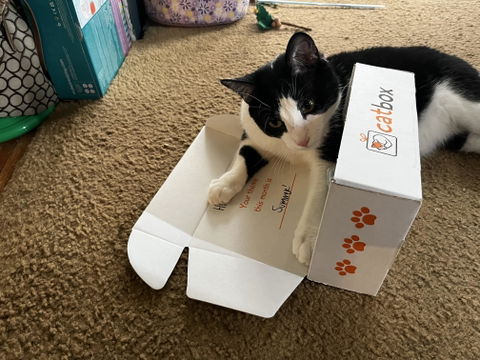 CatBox