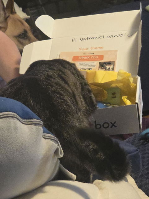 catbox
