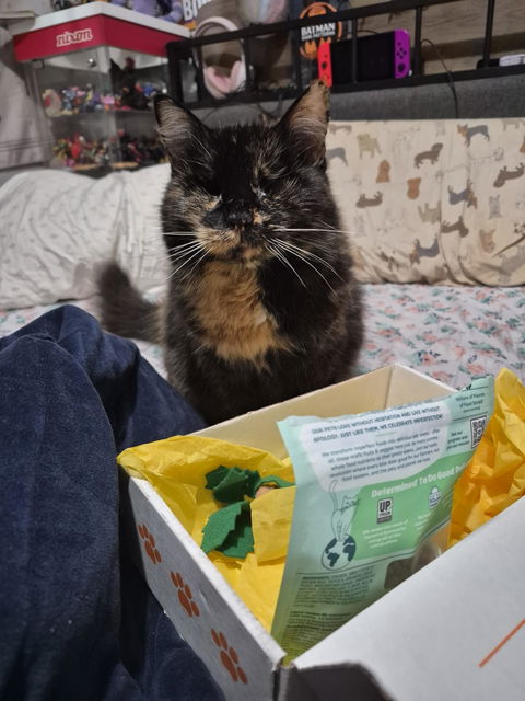catbox