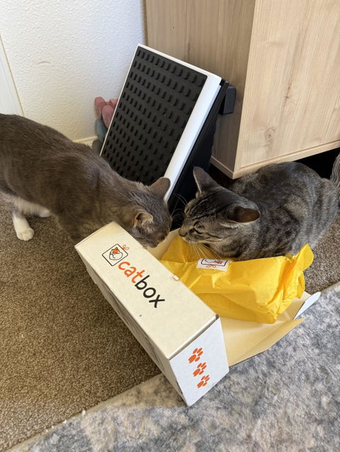 catbox
