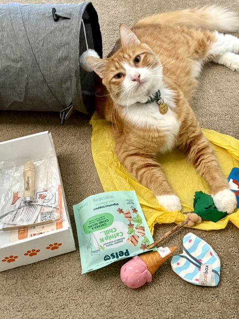 catbox