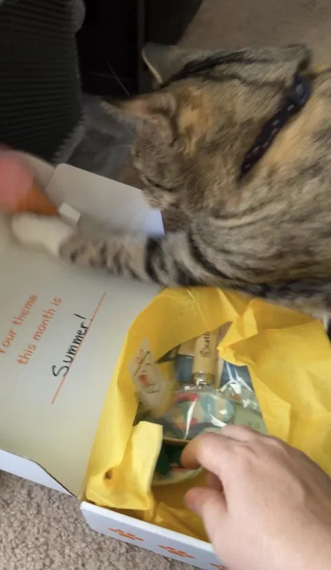 catbox