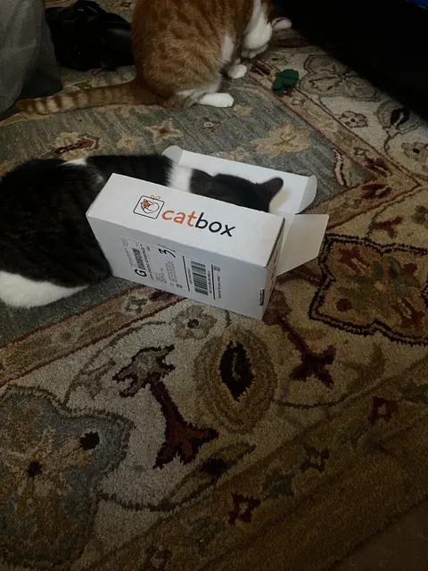 catbox