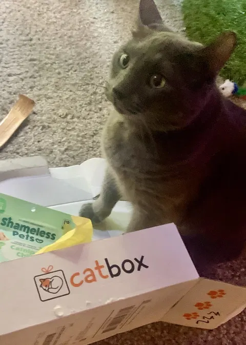 catbox