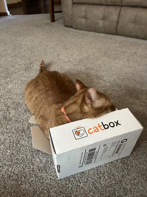 catbox