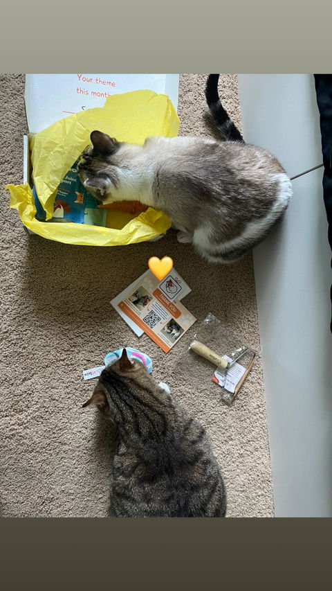 catbox