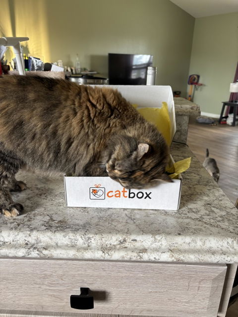 catbox