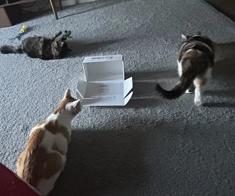 catbox
