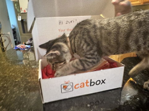 catbox