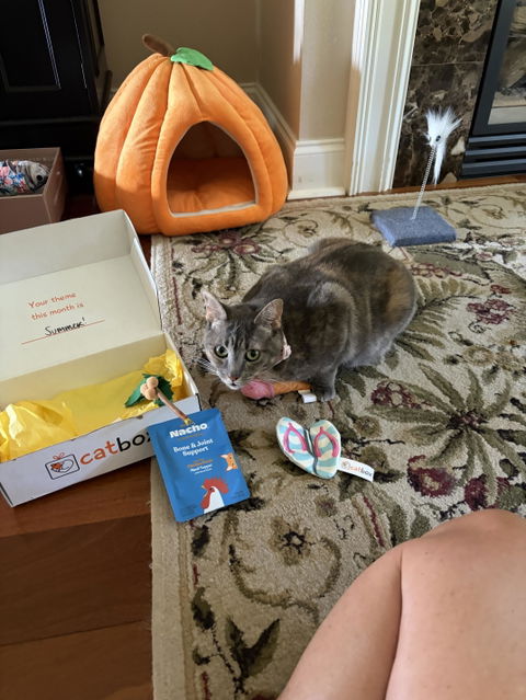 catbox