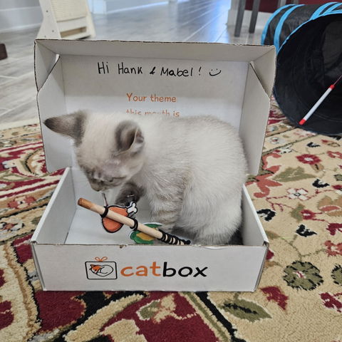 catbox