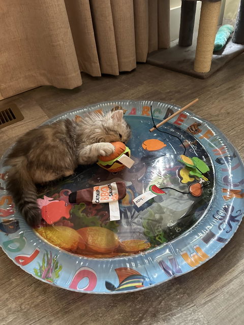 catbox