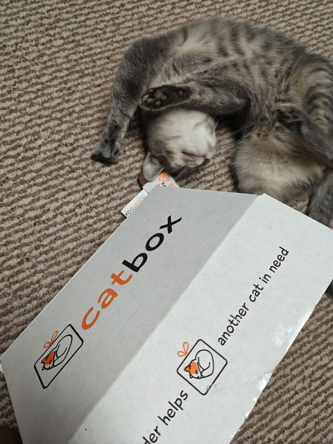 catbox