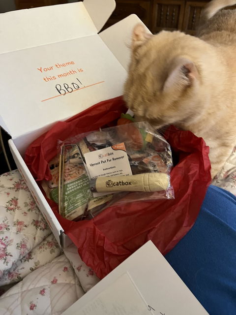 catbox
