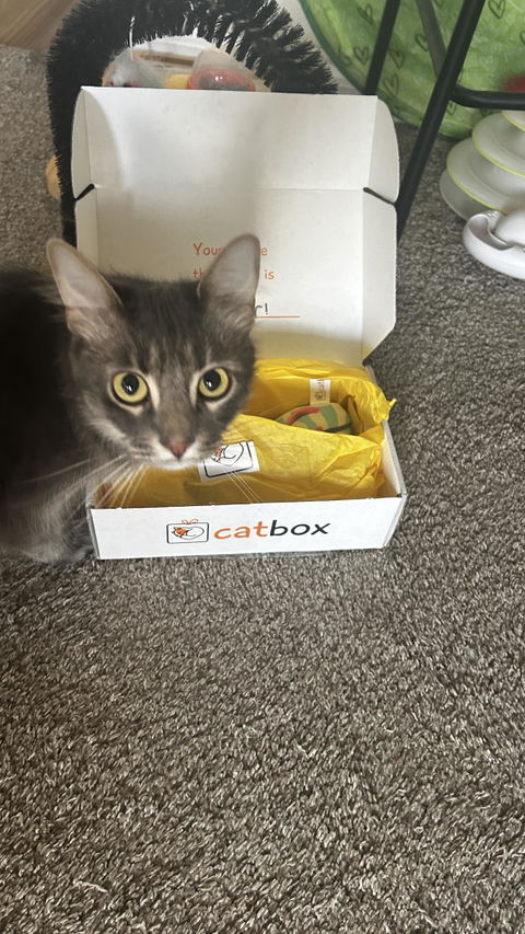 catbox