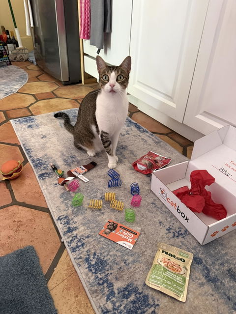 catbox