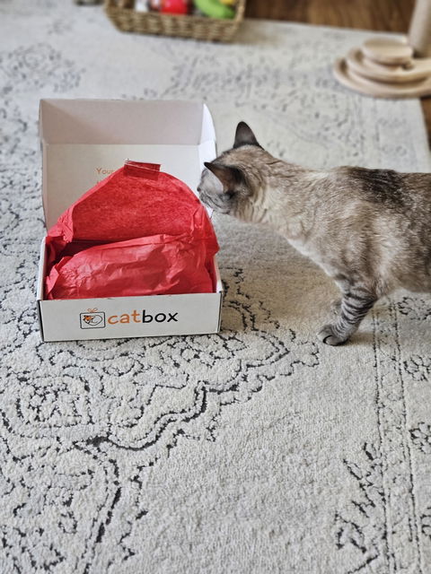 catbox