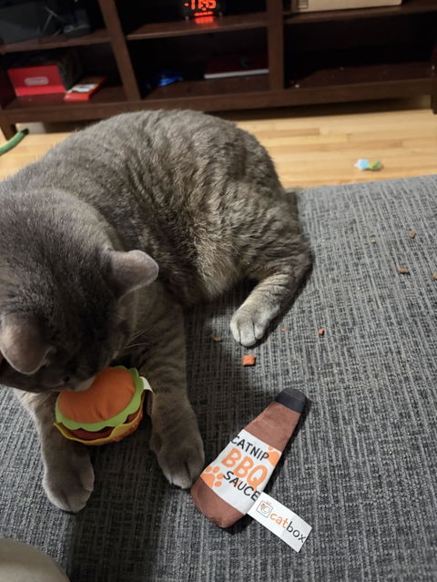 catbox