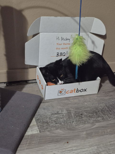 catbox