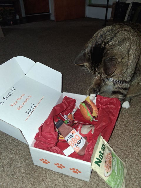 catbox