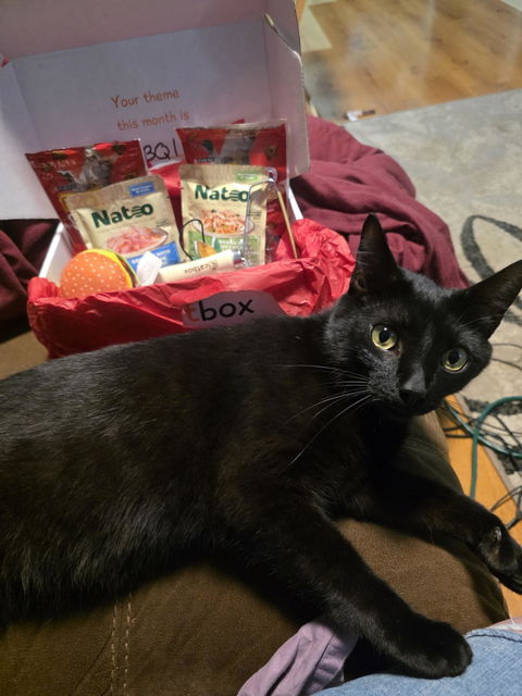 catbox
