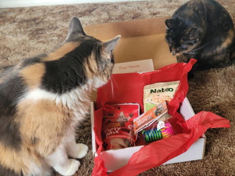 catbox