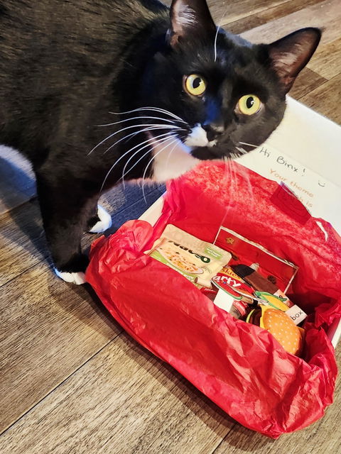 catbox