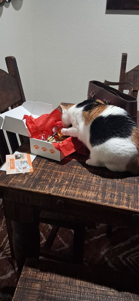 catbox