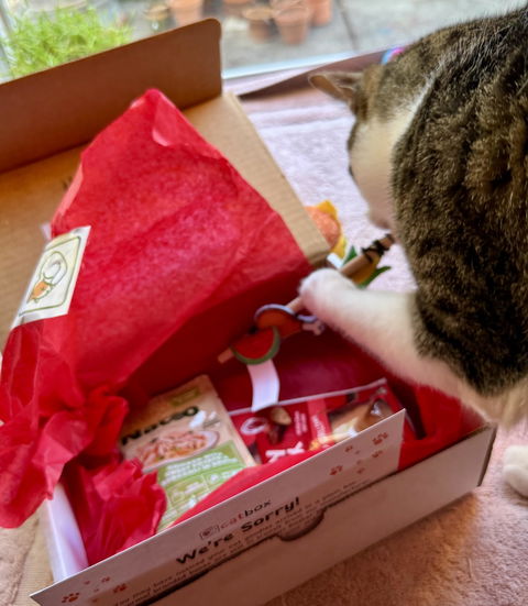 catbox