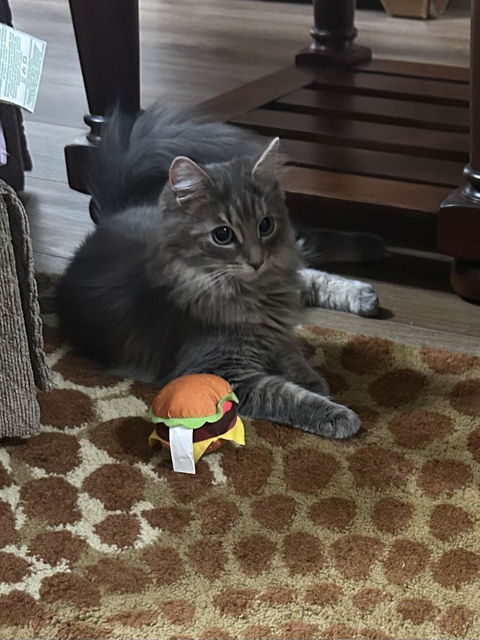 catbox