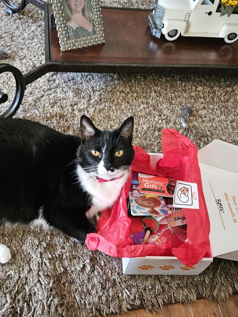 catbox
