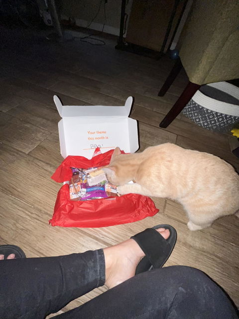 catbox
