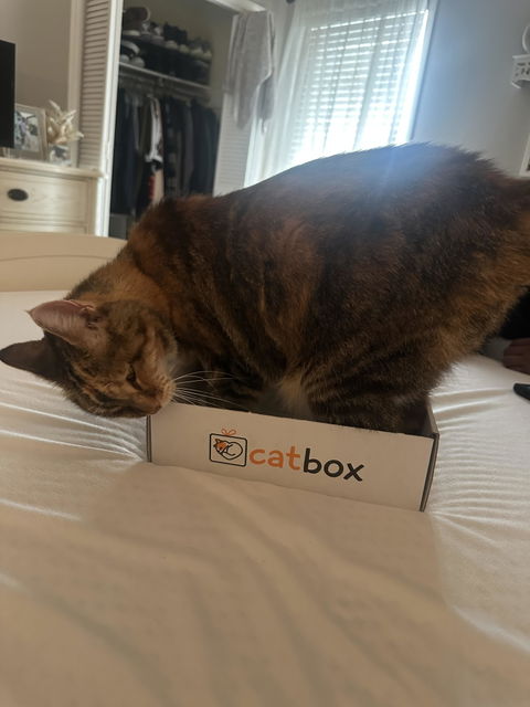 catbox