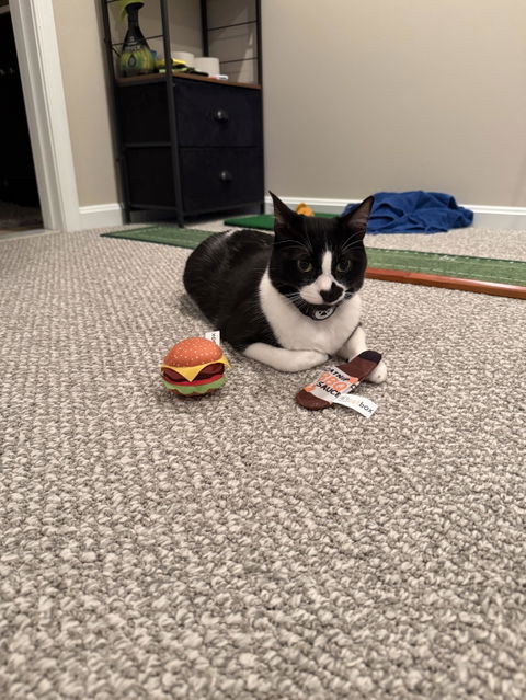 catbox