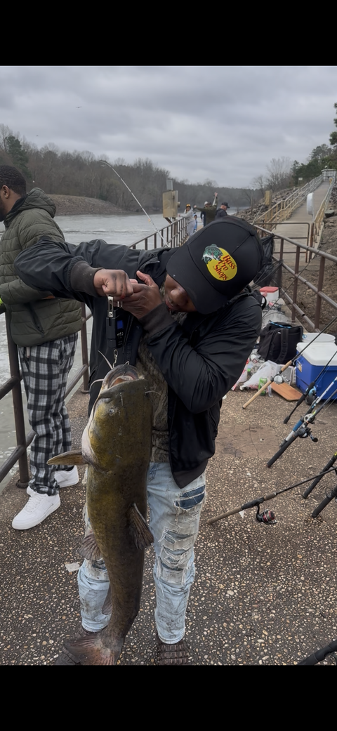 Catfish Pro
