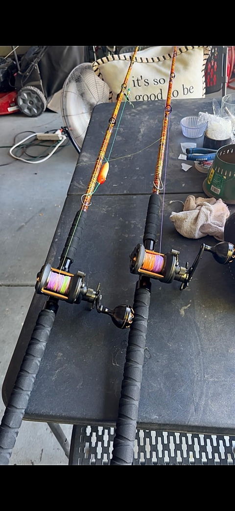 1 of 220 The Tiger Casting Rod - Limited Edition Rod