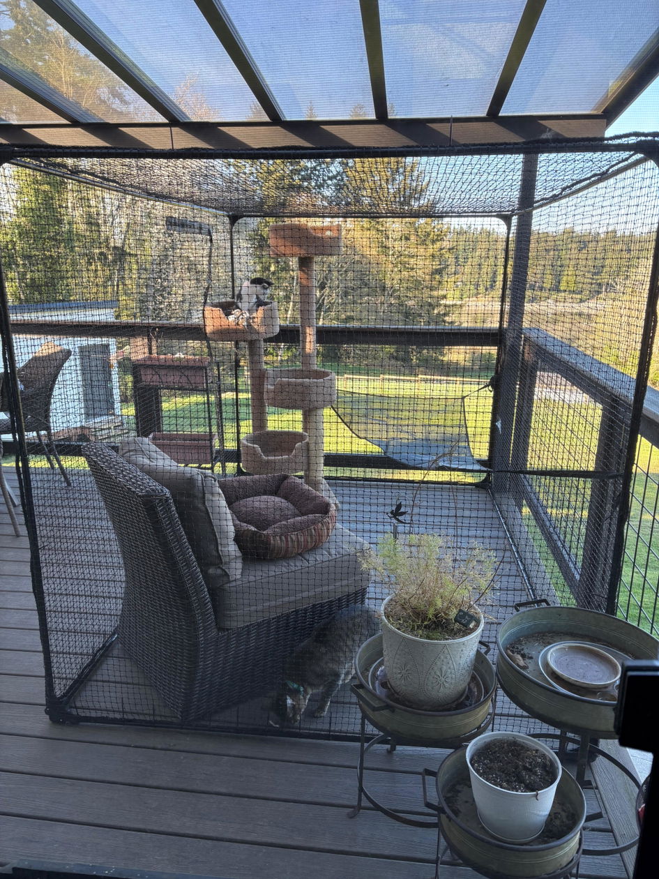 Mid-Size Classic Portable Catio 8'2